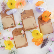 Retro Butterfly Sticky Notes